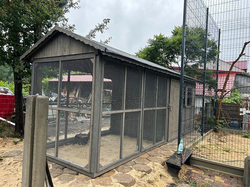 Kurnik dla kur Kurnik dla kur