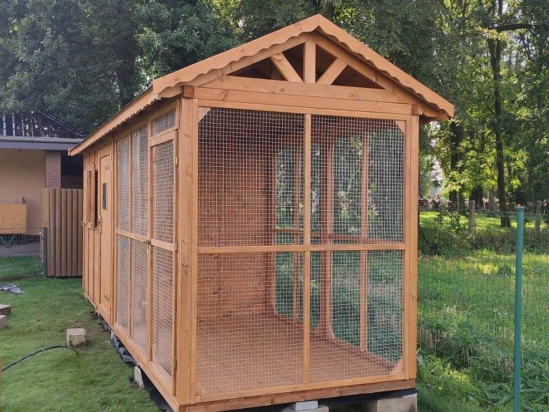 Kurnik dla kur Kurnik dla kur